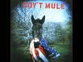 GOV'T MULE / GOV'T MULE -DELUXE/LTD-2LP