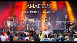 Amadeus Electric Quartet Live at Arenele Romane Bucharest