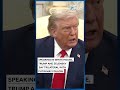 Zelensky In US | Trump And Zelensky Say Trilateral With Putin May Follow - 00:28 min - News - Video