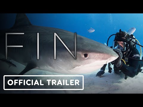 Fin'