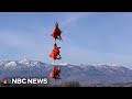 WATCH: Deer airlifted in Utah to have GPS collars fitted