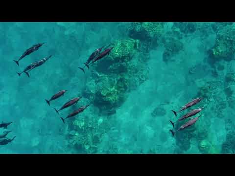 Video der Unterkunft