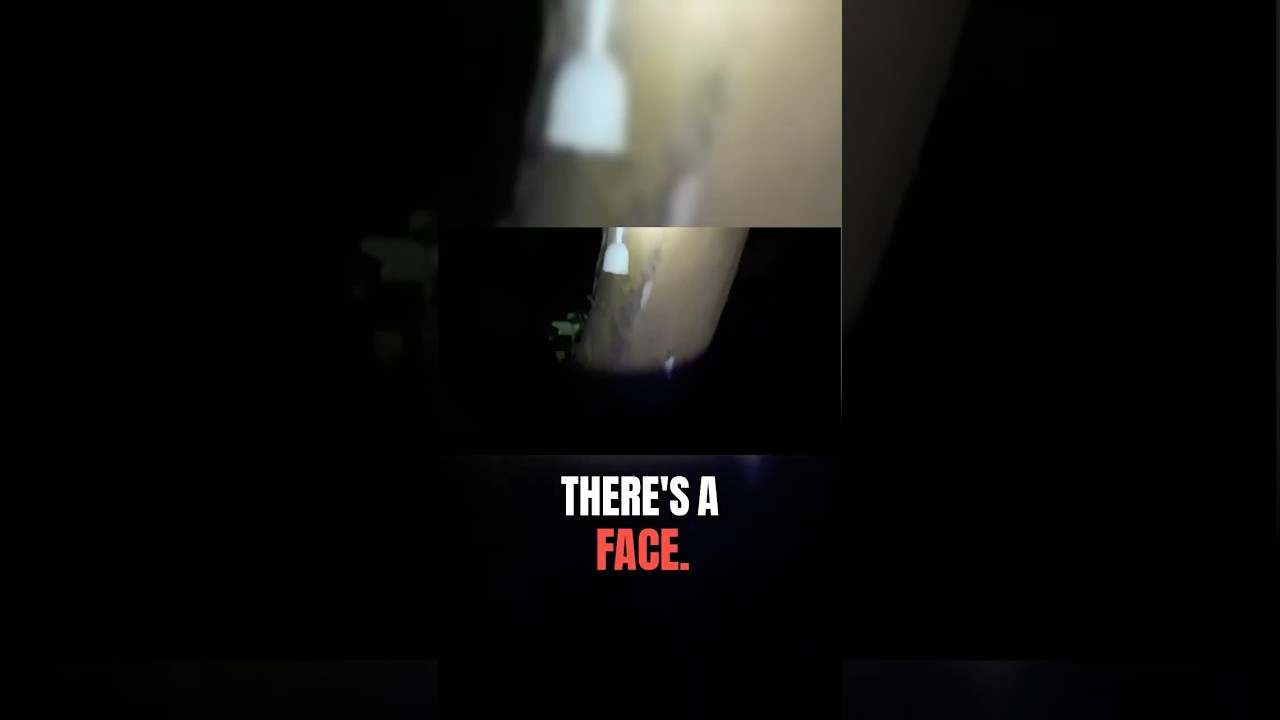 GHOST FACE Appears in HAUNTED FOREST
