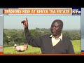 Kenyas Tea Plantation Dispute Highlights Lingering Colonial-Era Injustices | News9