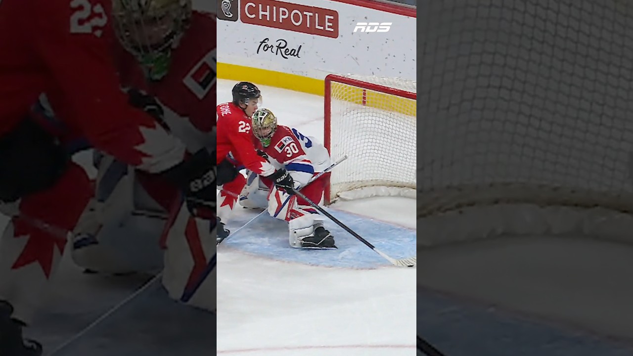 PORTER. MARTONE. 🚨