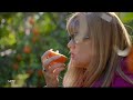 California farms face pressure to boost efficiency as water supply declines  - 08:39 min - News - Video