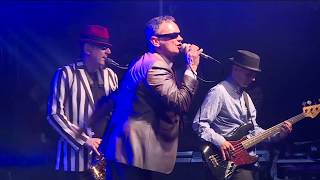Baggy Trousers (Madness) performed by Special Kinda Madness
