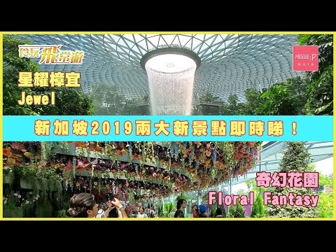 新加坡 2019 兩大新景點即時睇！星耀樟宜Jewel 奇幻花園 Floral Fantasy