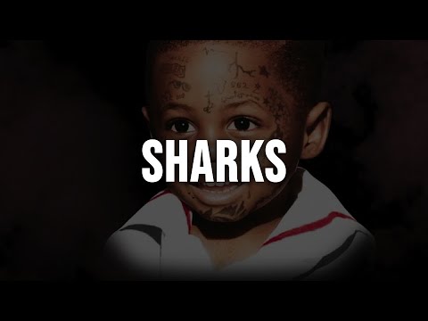 Lil Wayne - Sharks (feat. Jelly Roll & Big Sean) [Clean - Lyrics]