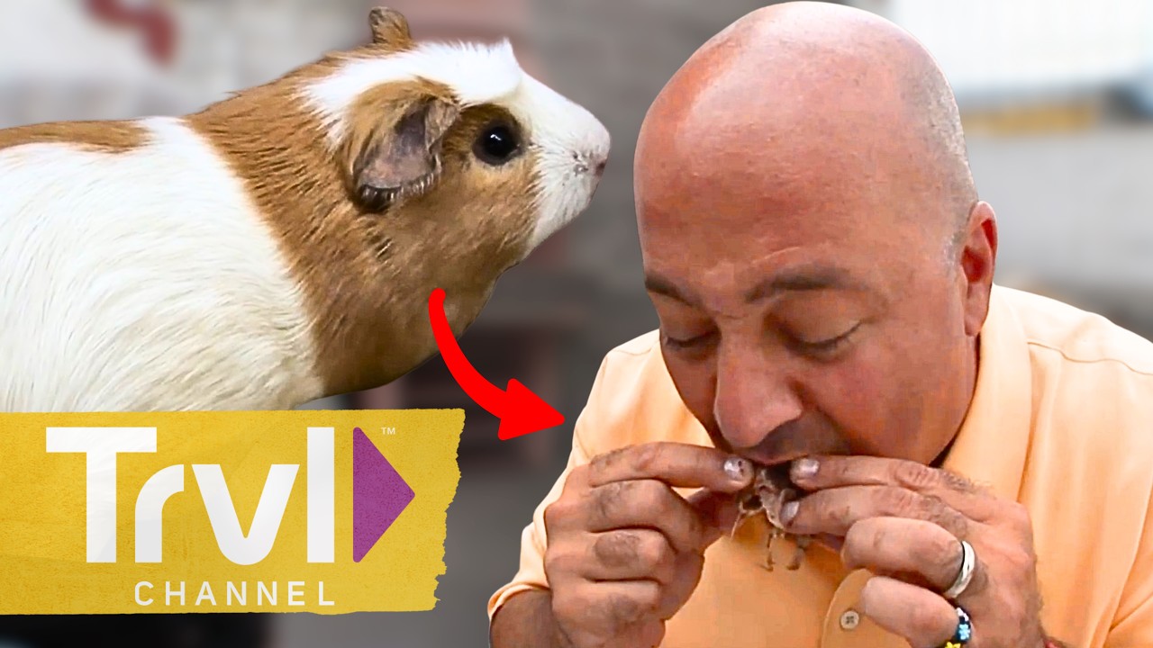 LIVE 🔴 Andrew Zimmern Ate WHAT?! | Bizarre Foods with Andrew Zimmern