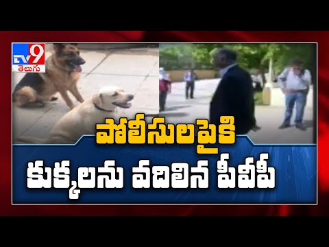 Another case registered against YSRCP leader PVP for unleashing dogs on police team