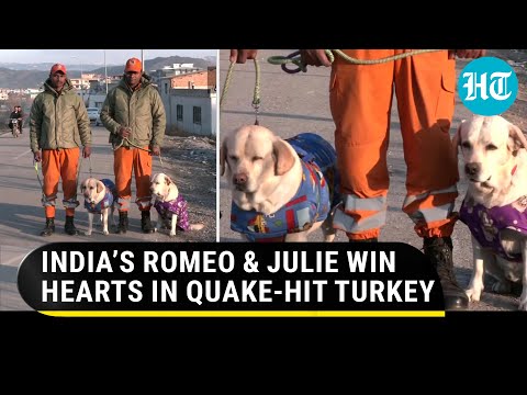 How India’s sniffer dogs saved girl from Turkey quake rubble; 'Julie went in & barked'