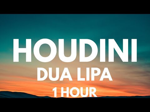 Dua Lipa - Houdini [1 HOUR LOOP]