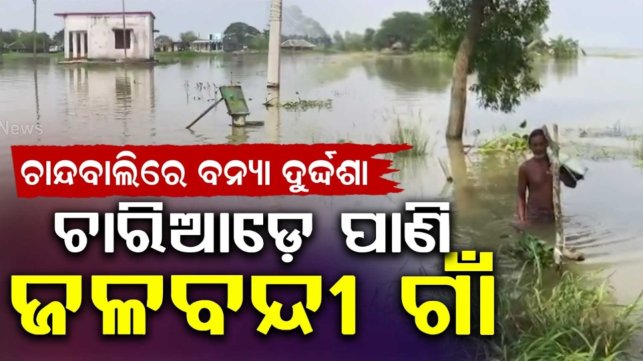 Waterlogged Chandbali: Villagers Rely On Country Boats Amid Inundation | Argus News