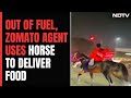Zomato Agent Delivers Food On Horse Amid Long Queues At Petrol Pumps