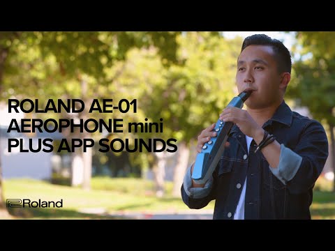 video Roland Aerophone AE-10 Digital Wind Instrument