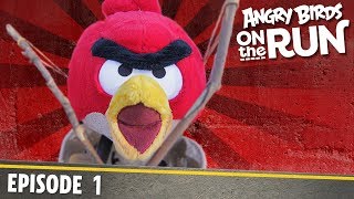  44/5000 Angry Birds- Na tku - 1 - Na druh stran