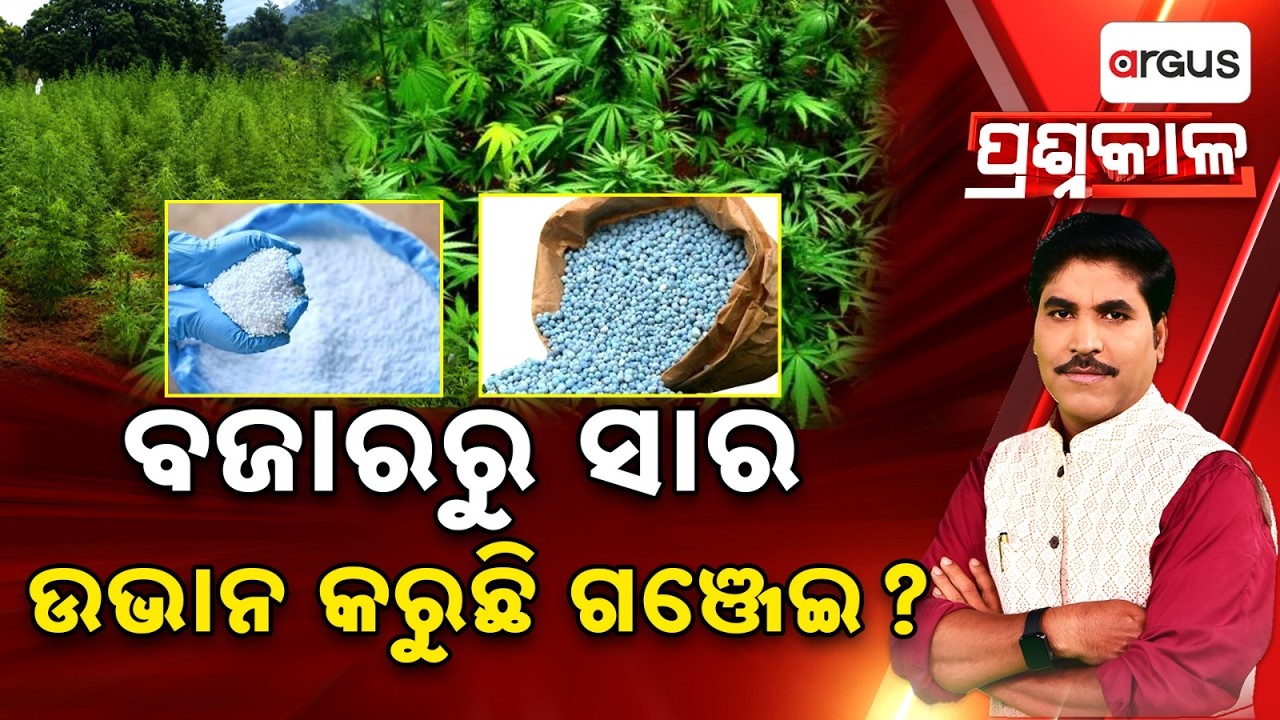 ବଜାରରୁ ସାର ଉଭାନ କରୁଛି ଗଞ୍ଜେଇ ? | Prasnakala | Is Govt Fertilizer Used For Cannabis Farming ?