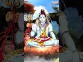 ఎంతో చక్కని పరమ శివుడు | Lord Shiva Popular Songs | Hema Chandra | Matam Virupakshaiah Swamy