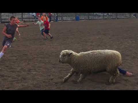 Rodeo Video