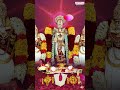Surrender to the grace of Lord Balaji : #VenkateswaraMangalaHarathi #telugubakthisongs  - 00:59 min - News - Video
