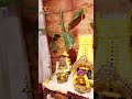 Fantastic.. Beautiful  Arunachalam Temple Floral Decoration  - 00:38 min - News - Video