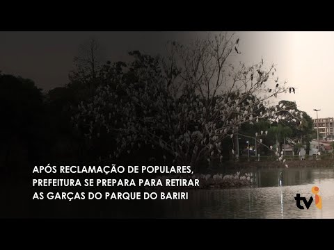Vídeo: Após reclamação de populares, Prefeitura se prepara para retirar as garças do Parque do Bariri