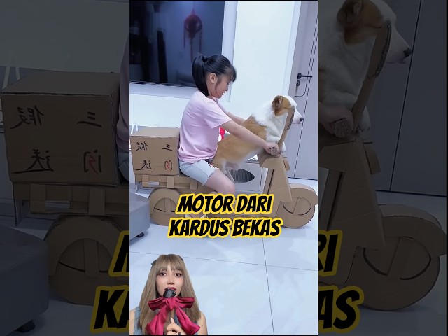 MOTOR DARI KARDUS BEKAS #shorts
