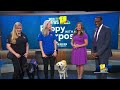 Friday PUPdate: Tuckers here with his fren, Newton!(WBAL) - 03:04 min - News - Video