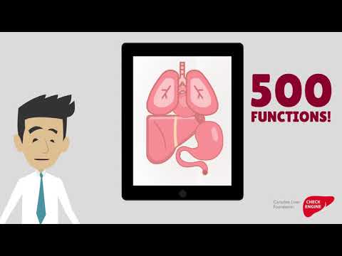 Video: Your body is a luxury vehicle that requires fuel, regular maintenance, hazard protection and some loving care. Your liver functions like your body’s engine. It drives many of the body’s critical systems but unfortunately, it can be easily overlooked. The reality is that when your liver stops and breaks down, your body does too.