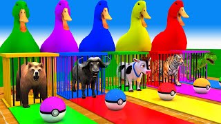 Long Slide Game With Elephant Gorilla Buffalo Hippopotamus Tiger 3d Animal Game Funny 3d Animals