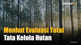 Menteri ESDM dan Menhut Evaluasi Total Tata Kelola Hutan dan Tambang Usai Banjir Sumatera