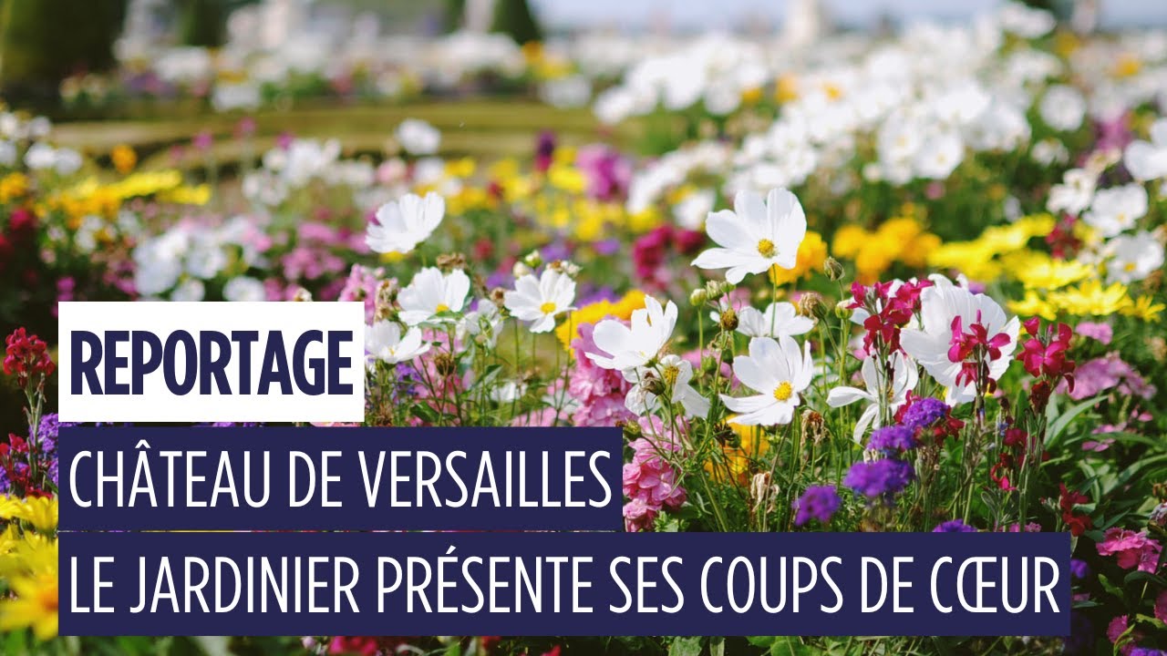 Les 3 coups de cœur d’Alain Baraton dans les jardins du château de Versailles