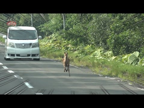 打首獄門同好会「10獄放送局」第44回