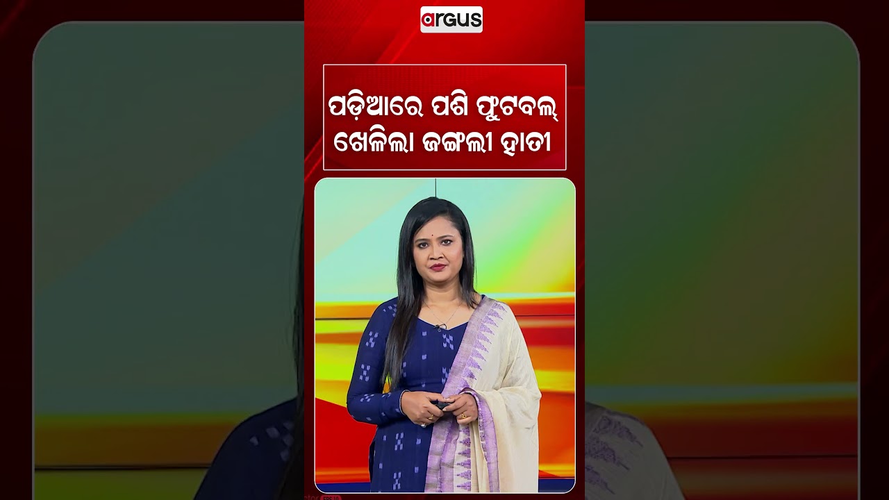 ପଡିଆରେ ପଶି ଫୁଟବଲ୍‌ ଖେଳିଲା ଜଙ୍ଗଲୀ ହାତୀ | Argus Reels | Elephant Football | WildElephant