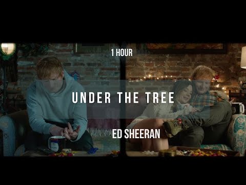 [1 hour] Ed Sheeran - Under the Tree (from “That Christmas”) | Lyrics