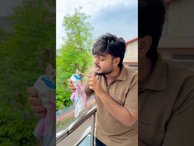 Cute Cat Ke Liye Gift ~ Sujal Thakral #shorts #ytshorts #youtubeshorts #emotional #cat #cutecat