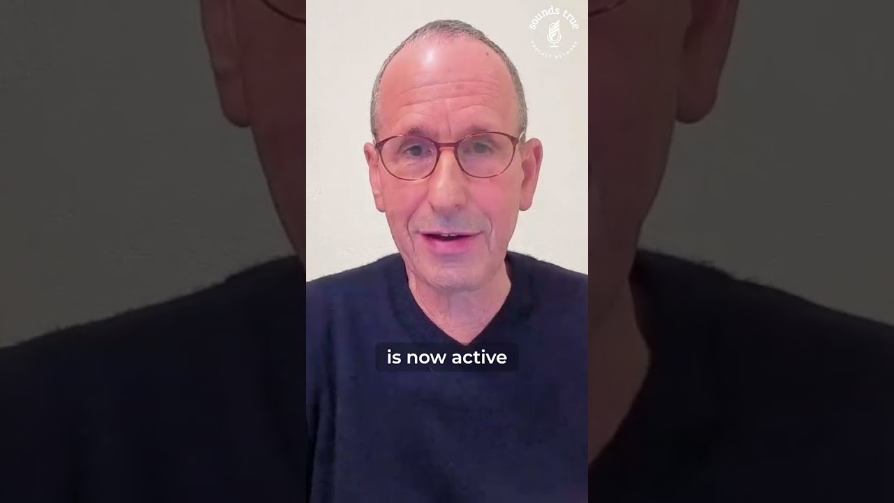 The Perspective of the Discontinued Self | Aviv Shahar