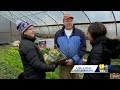 reFRESH pledge delivers produce box subscriptions  - 02:14 min - News - Video