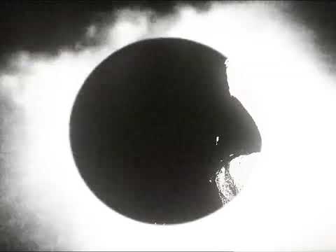 Golden Cats - Yearn For You (Shadow)