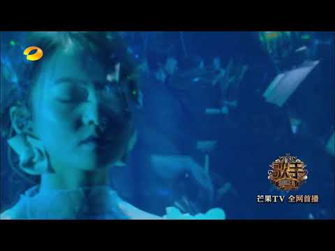 张韶涵 - 梦里花