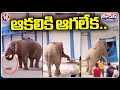 Hungry Elephant Opens Shutter And Stole Rice Bag From Ration Shop In Karnataka Border | V6 Teenmaar