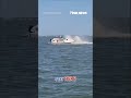 Whale collides with boat throwing passenger overboard #shorts #viral #news  - 00:25 min - News - Video