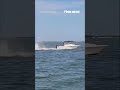 Whale collides with boat throwing passenger overboard #shorts #viral #news