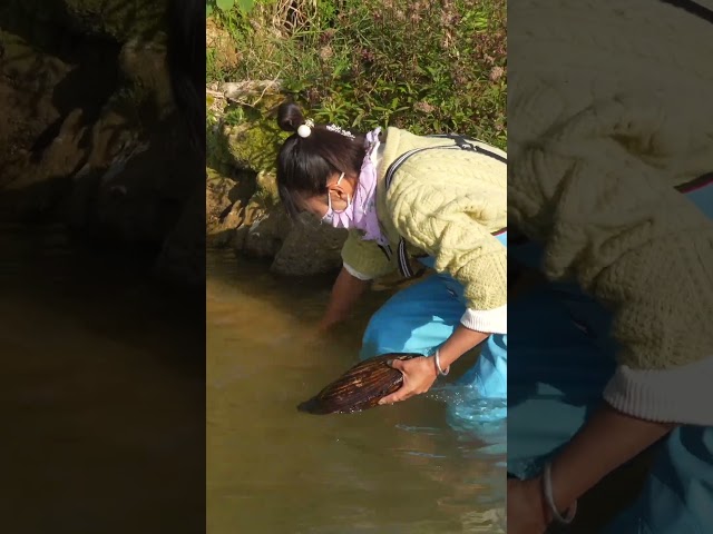 Clam Treasure Hunt: Girl's Lucky Strike #pearl