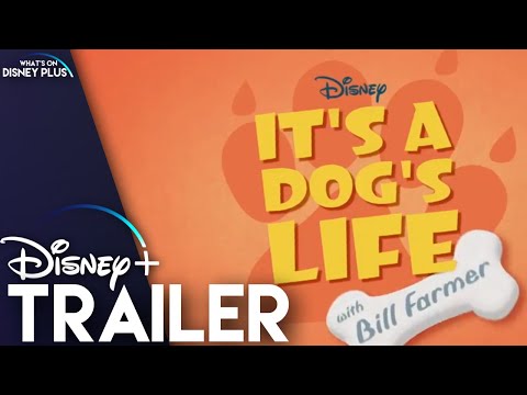 It's A Dog's Life'