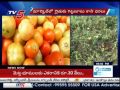Tomato Price Crashes, Selling for Rs.1 per KG