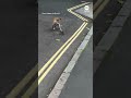 Fox battles it out with rat on London street