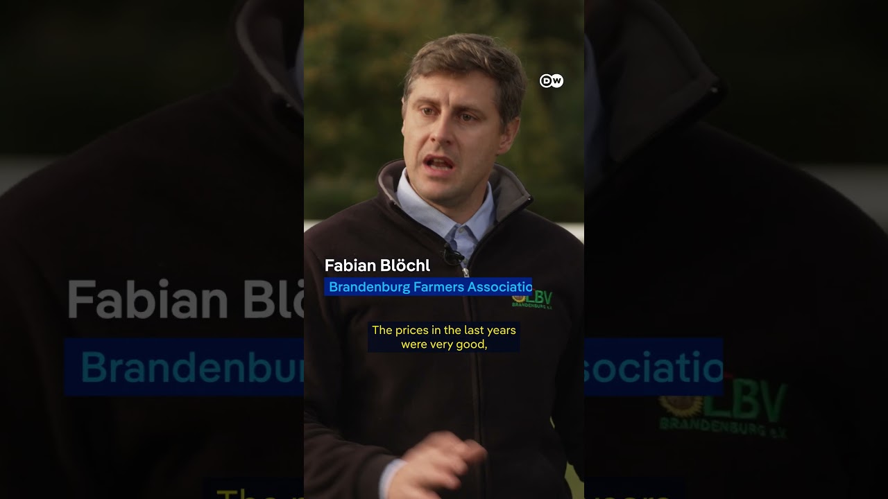 Why Germany's record potato harvest is bad for farmers | DW News