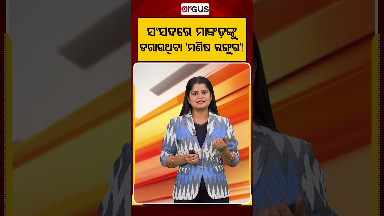 ସଂସଦରେ ମାଙ୍କଡଙ୍କୁ ଡରାଉଥିବା 'ମଣିଷ ଲଙ୍ଗୁର'! | Parliament Of India | Monkey Men | Human Langur